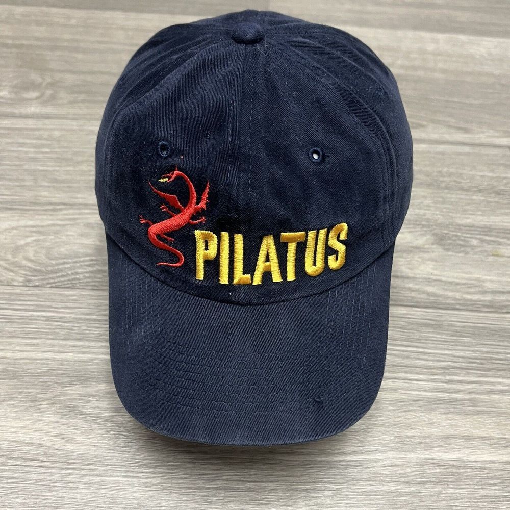 Vintage Pilatus Dragon Hat Baseball Cap Switzerland Tokyo Japan China Y2k Flame